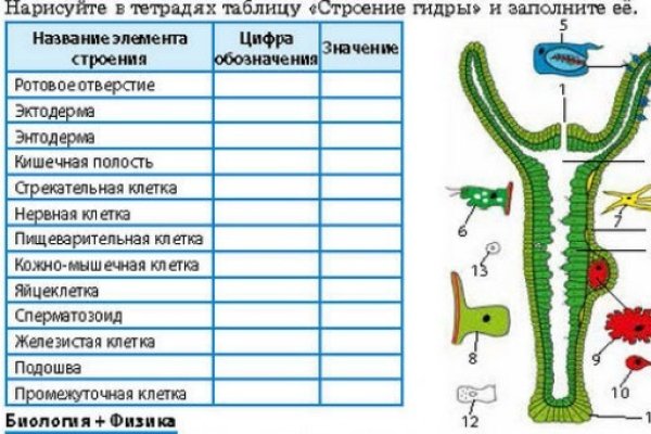 Пользователь не найден кракен даркнет